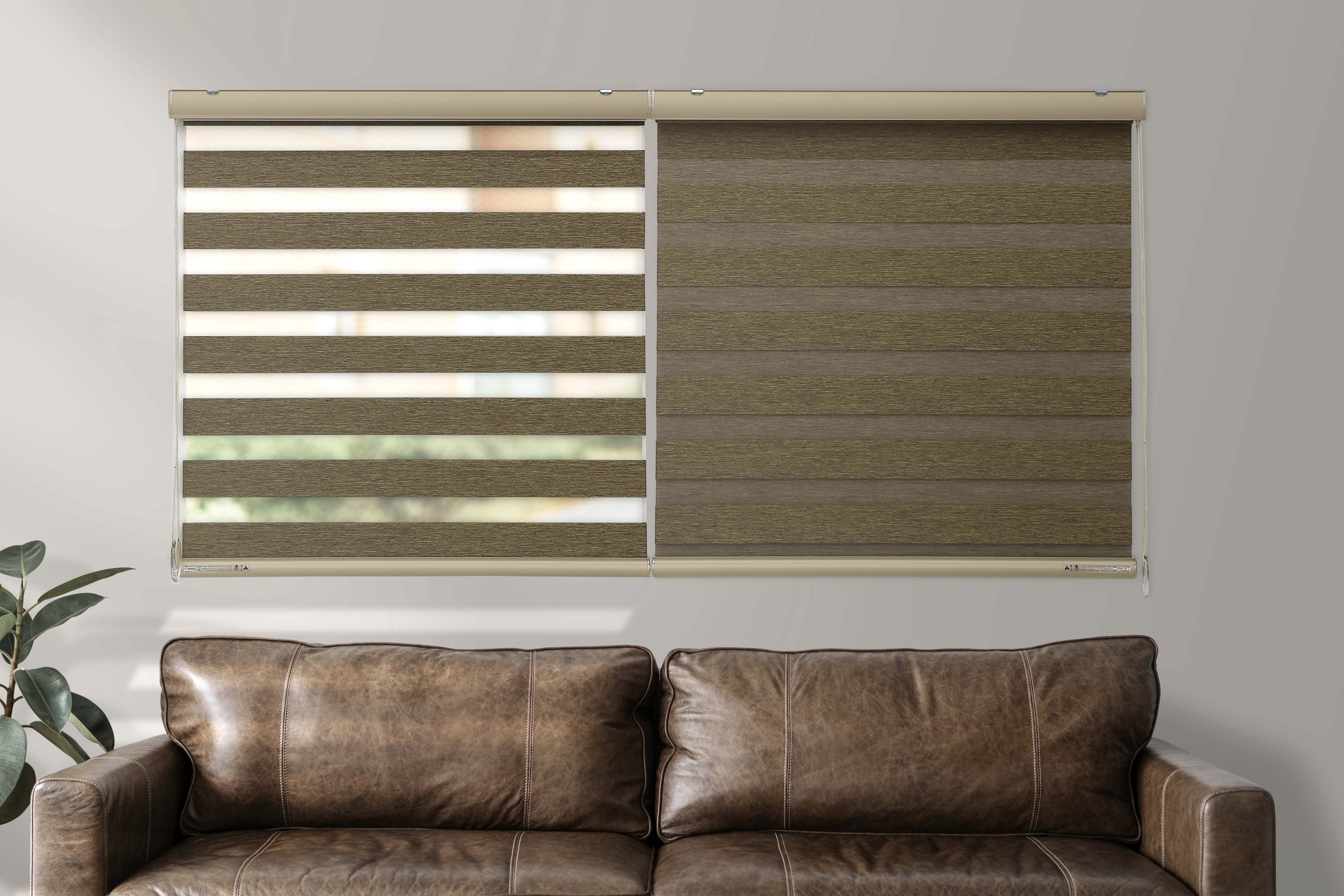 Zebra Blinds